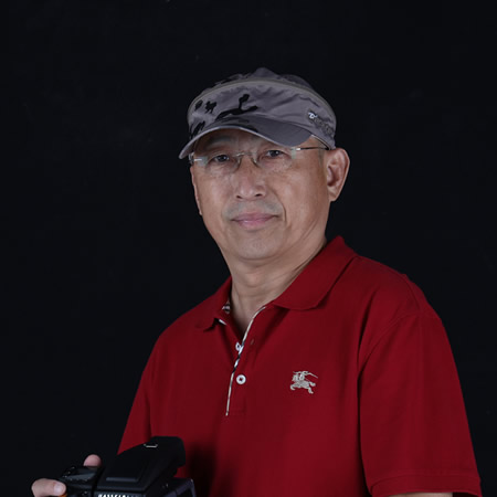 牛进