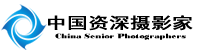 中国资深摄影家网